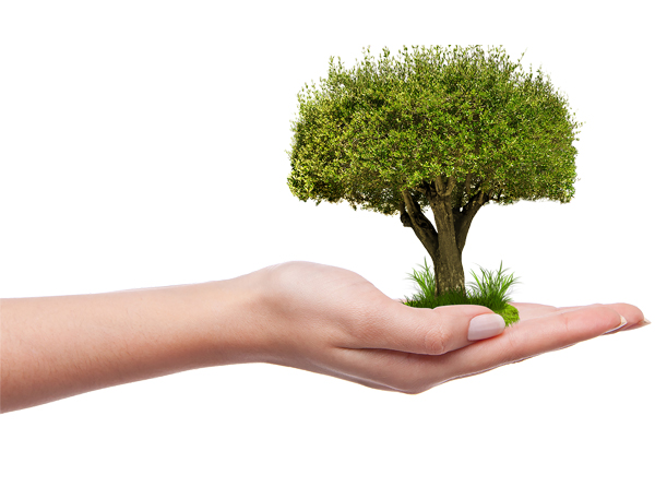 Société éco-responsable